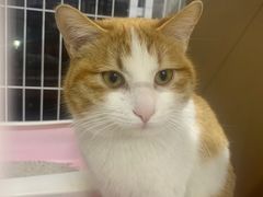 -沐沐家宠物(成寿寺店)