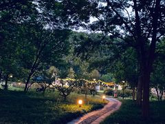 -河南省黄河迎宾馆