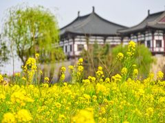 -定鼎门遗址博物馆