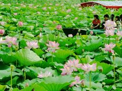 -承德避暑山庄景区