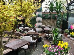 -Golden Lily河内巴黎法越料理餐厅(建国西路店)