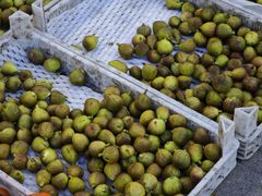 -登州市场(登州路店)