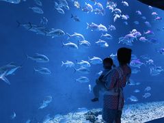 -哈尔滨波塞冬海底世界