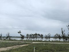-白洋淀风景区