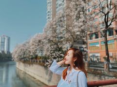 -成都市活水公园