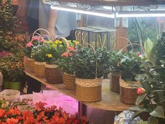 -双季花艺园艺市场(浦东店)