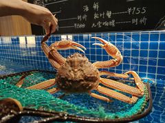 -綱元·海鲜豆捞(明州里店)