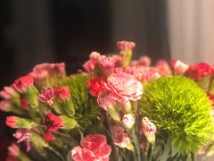 -春暖花开(西溪店)