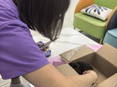 -北京观赏动物医院·24小时大型综合·猫专科·异宠专科