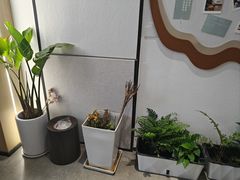 -大鱼·养生·禅洗头疗·按摩SPA