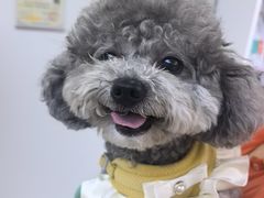 -达爱动物医院·犬猫分区·CT·复杂眼科(远洋山水分院)
