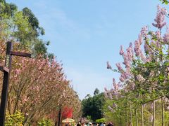 -黄龙溪欢乐田园