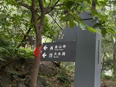 -阳台山自然风景区