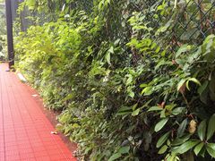 -杭州城北体育公园