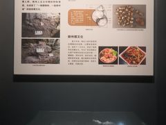 -柳州白莲洞洞穴科学博物馆