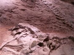 -世界恐龙谷景区