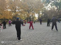 -玲珑塔公园