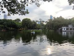 -晓港公园