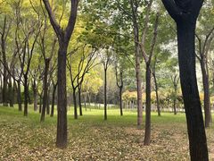 -北坞公园