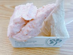 -野人先生Gelato(上海长宁龙之梦店)