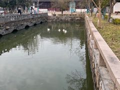 -苏州文庙(姑苏区)