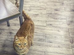-玉华饮食店(茅台路店)