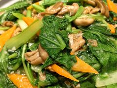 -诺敏塔拉奶茶-布里亚特包子-手把肉(锦都会店)