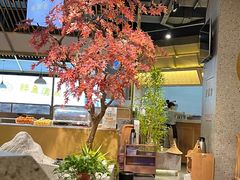 -滇色蒸汽石锅鱼(京华城店)