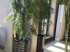 -HIGH FIVE哈福手工汉堡(桂林路店)