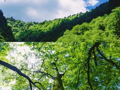 -瓦屋山景区