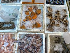 -东江海鲜大排档·潮汕菜·砂锅粥