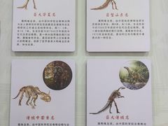 -诸城市恐龙博物馆