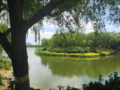 -大兴滨河森林公园