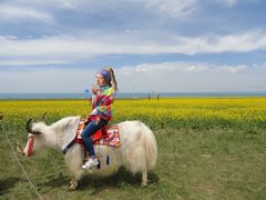 -青海湖国家重点风景名胜区