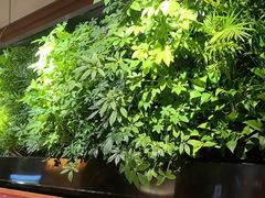 -巴奴毛肚火锅(广益哥伦布店)