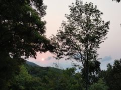 -梧桐山风景名胜区