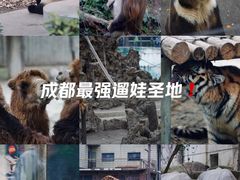 -成都动物园