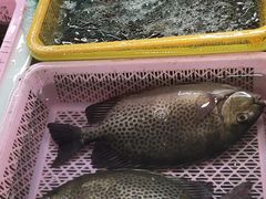 -南沙十九涌渔人码头-南门