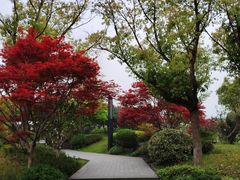 -雅达·阳羡溪山小镇中心