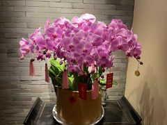 -八分饱·西津会(西津渡店)