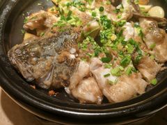 -佬肥猫(七宝宝龙店)