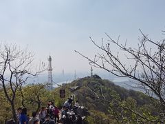 -紫金山山顶公园