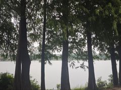 -东莞松山湖凯悦酒店
