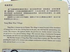 -南丫岛
