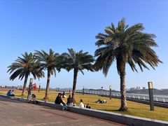 -野狸岛