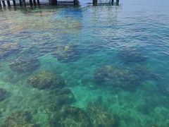 -三亚西岛海洋文化旅游区