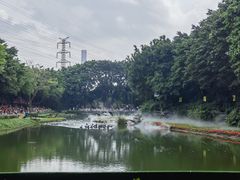-广州长隆飞鸟乐园