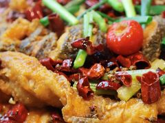 -老板恋上鱼(恒隆广场店)