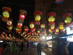 -锦江乐园舞狸花花游园会(夜场专享)