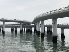 -演武大桥观景平台